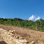 Vila Zeta Wine &