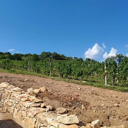Villa Zeta Wine &