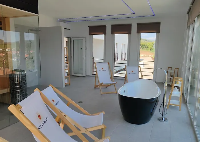 Zeta Wine & Vila Mád